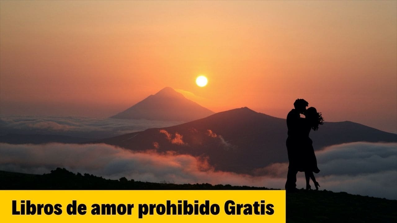 Libro El Amor No Duele Pdf Gratis sololibros.org