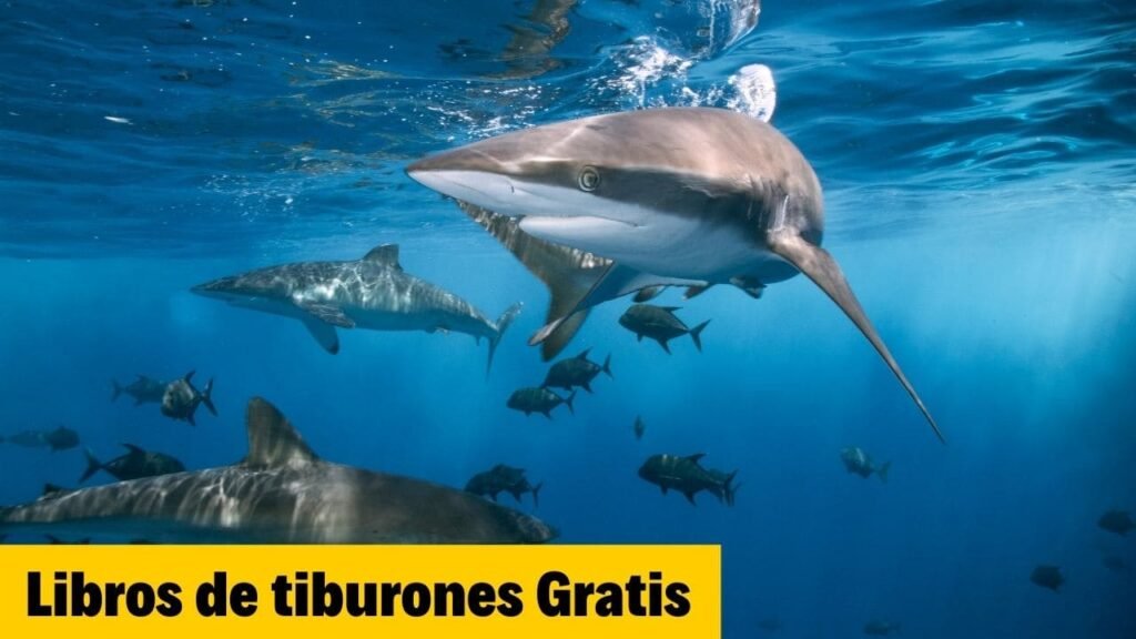 Libros de Tiburones